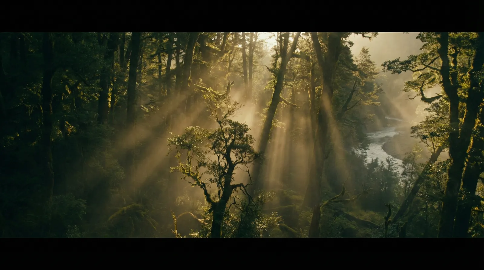 FB体育网站 自然纪录片风格调色案例